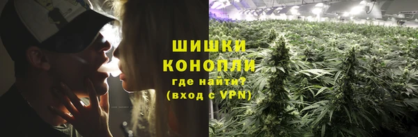 шишки Михайловск