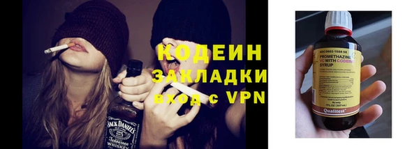 шишки Михайловск