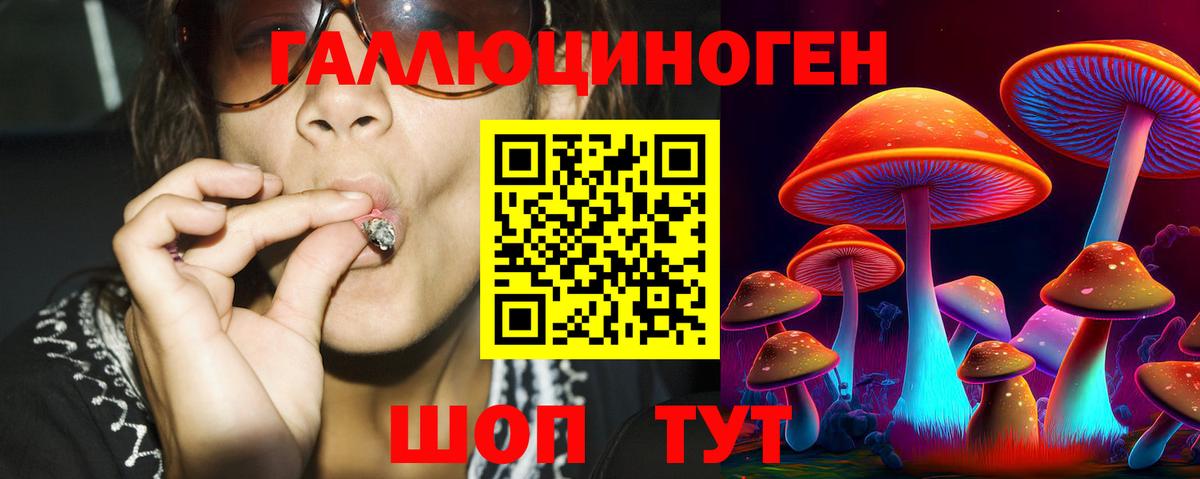 Псилоцибиновые грибы GOLDEN TEACHER Балаково
