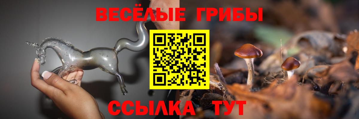 Псилоцибиновые грибы прущие грибы  Галлюциногенные грибы прущие грибы  Вход с VPN  Балаково 